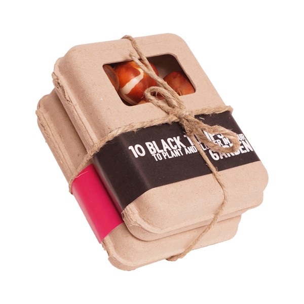 Durable box S